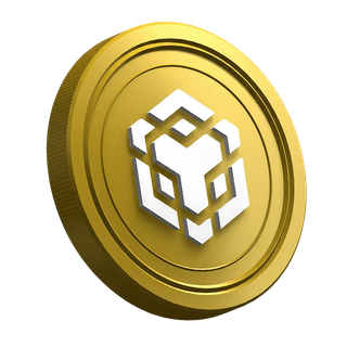 Página do guia para o trader iniciante com criptomoeda BNB